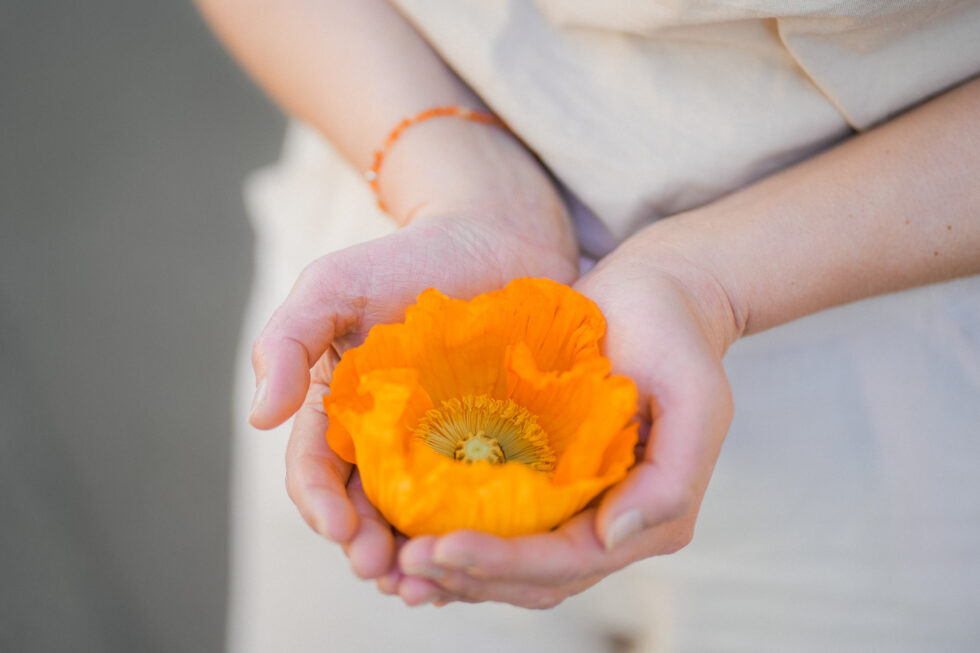 Fotograf Lübeck bei Produktlaunch