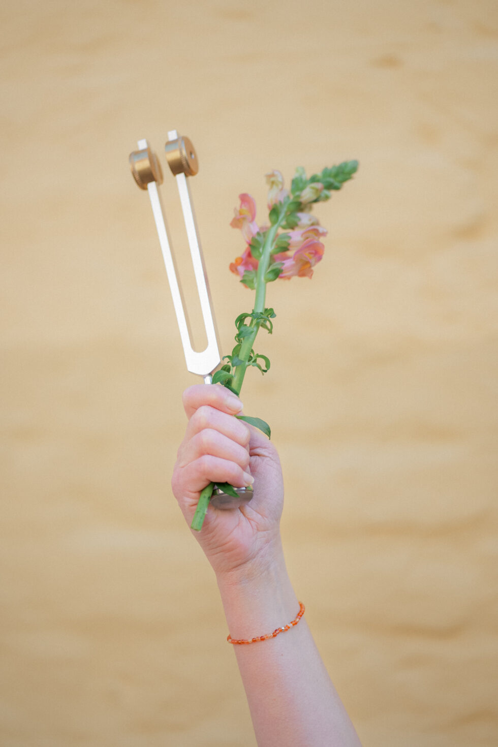 Fotografin Lübeck für regionale Unternehmen